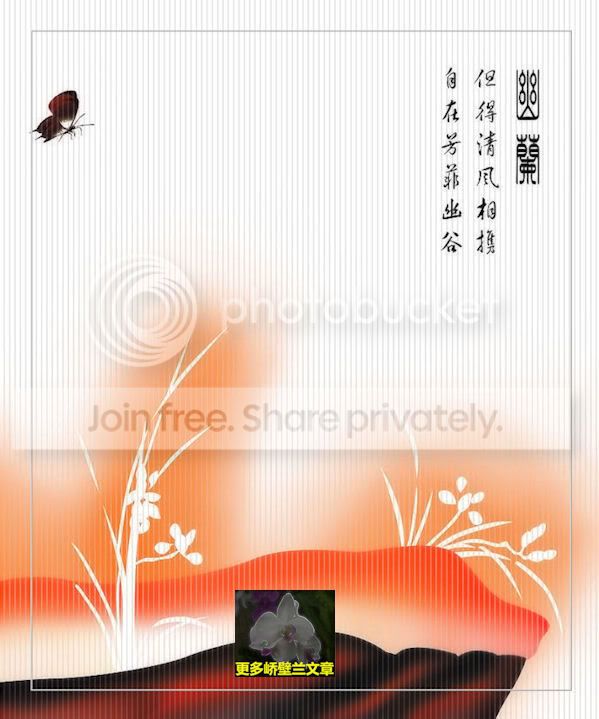 兰缘经·情结A