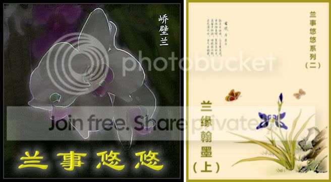 兰事悠悠2