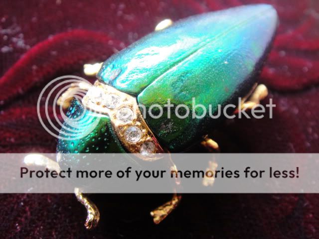 3D Brooch Art Real Green Beetle Fossil Jewelry Pin