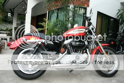 sporter 1200 r 2004 Pictures, Images and Photos