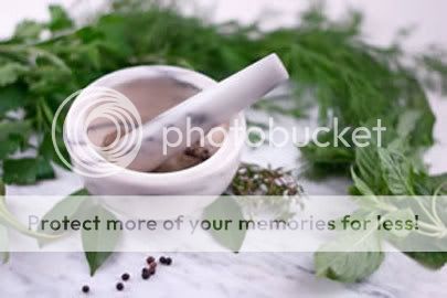 Herbs Pictures, Images and Photos