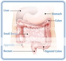 A Homeopathic Approach to Inflammatory Bowel Disease – Crohn’s and Colitis 4